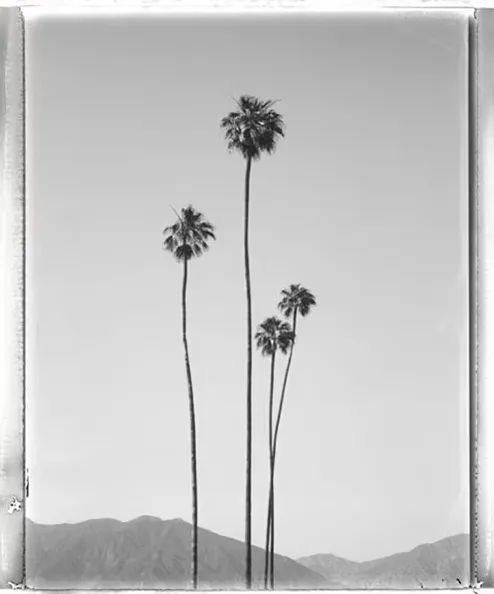 Christopher Wray-McCann