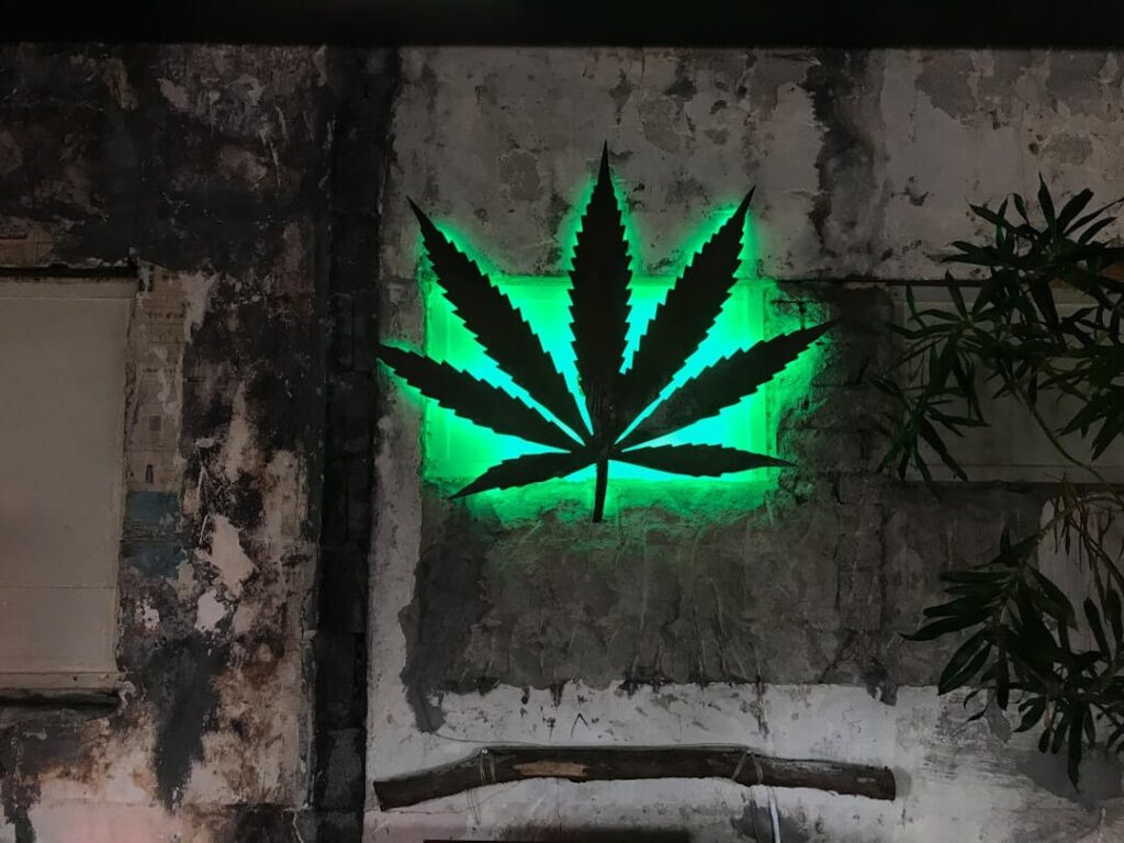 cannabis holidays marijuana leaf